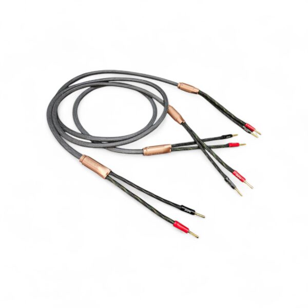 38 Cable de bocina Tier 2.