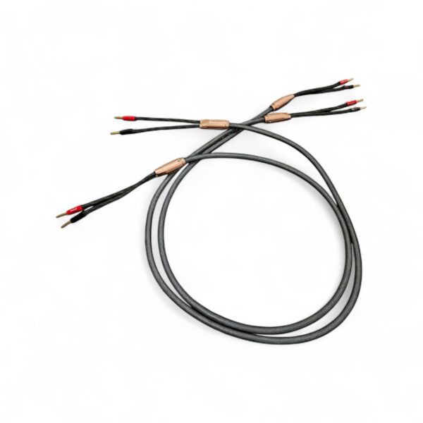 39 Cable de bocina Tier 2.