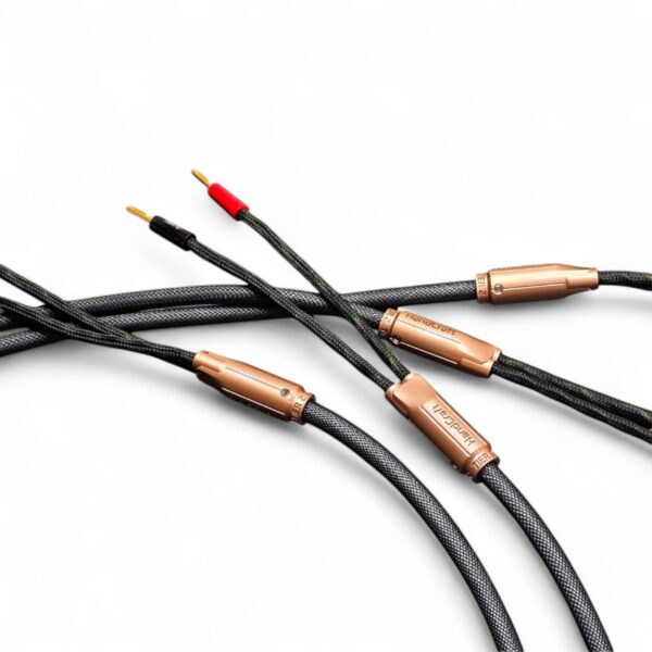 40 Cable de bocina Tier 2.