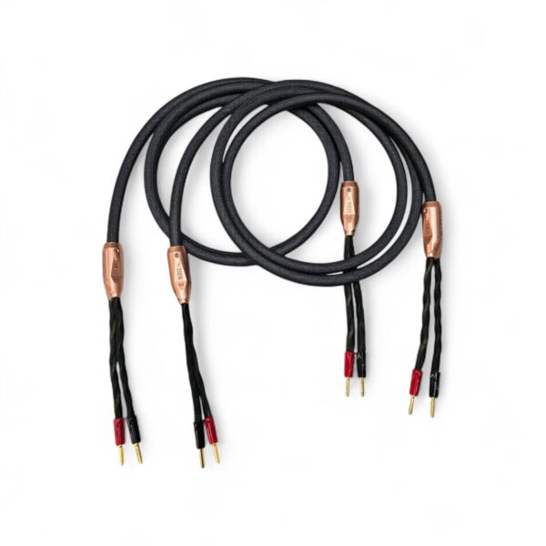 Cable de bocina Tier 3.